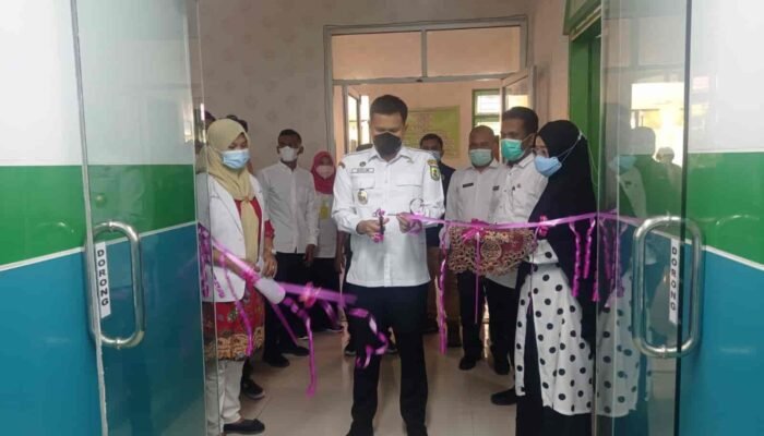 Wabup Sergai Resmikan Laboratorium PCR di RSUD Sultan Sulaiman