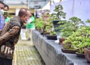 Edy Rahmayadi Tinjau Pameran Bonsai Tingkat Nasional