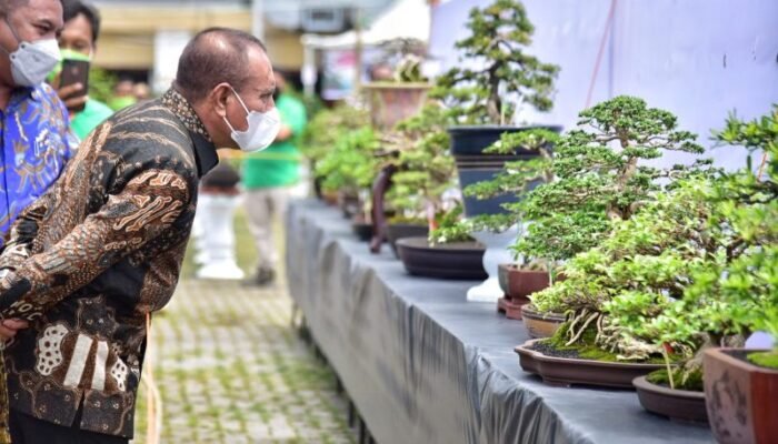 Edy Rahmayadi Tinjau Pameran Bonsai Tingkat Nasional