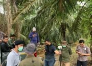 Tim Pidsus  Kejati Sumut Turun  Langsung Mengecek Titik Koordinat Kasus Mafia Tanah di Langkat