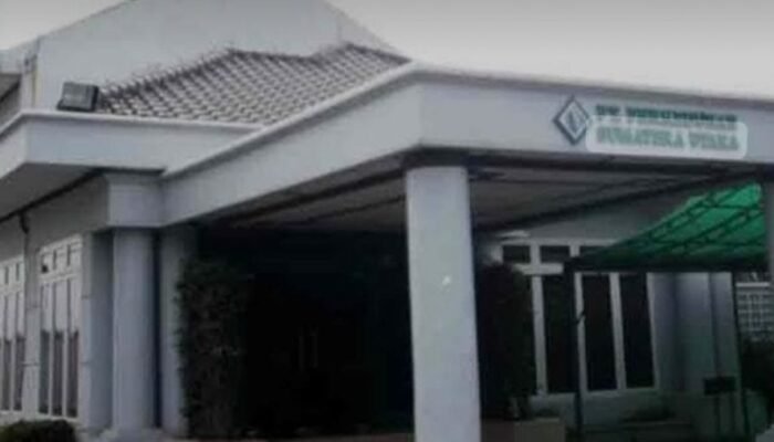 Miliki Integritas, Profesional, Tepat dan Tegas Dibutuhkan Jadi Dirut PT PSU