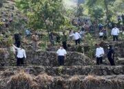 Tanam Pohon Bersama Presiden, Gubernur: Pemprov Sumut Anggarkan Rp 2 M Pengadaan Benih Macadamia
