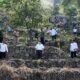 Tanam Pohon Bersama Presiden, Gubernur Pemprov Sumut Anggarkan Rp 2 M Pengadaan Benih Macadamia