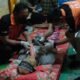 Tim Inafis saat evakuasi korban. (Foto: Humas).