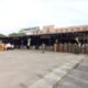Kasatpol PP Kota Medan Rakhmat Harahap memimpin saat langsung kegiatan. Senin (31/01/2022). (Foto/Humas)