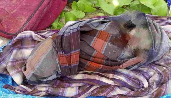 Warga Heboh Ditemukan Mayat Bayi Perempuan di Pantai Cermin