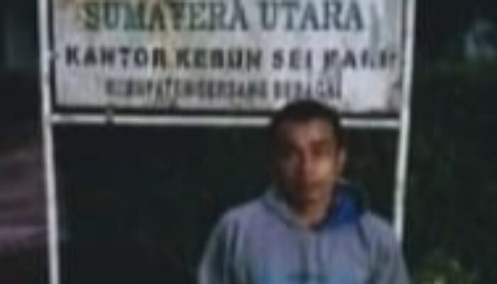 Di korankan Kebon Sri Kari Baru Proses Pesangon Norman Sitepu