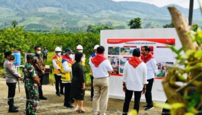Lihat! Kapolda Sumut Dampingi Presiden Jokowi Susuri Kebun Jeruk di Karo