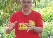Harga TBS Hampir Rp4000, Sugianto Makmur: Migor Akan Langka dan Atasi Dengan Turunkan Harga CPO