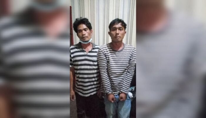 Curi Pagar Maling Bodoh Viral di MedsosSiang Bolong Curi Pagar Ya Gol Lah