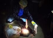 Biadab, Gegara Tak Diberi Uang Anak Pukul Ayah Dengan Balok Hingga Tewas