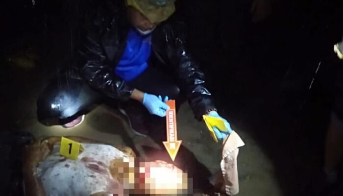 Biadab, Gegara Tak Diberi Uang Anak Pukul Ayah Dengan Balok Hingga Tewas