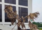 Kontraktor Taman Bohongi Sekwan Dan Komisi A DPRD Labura