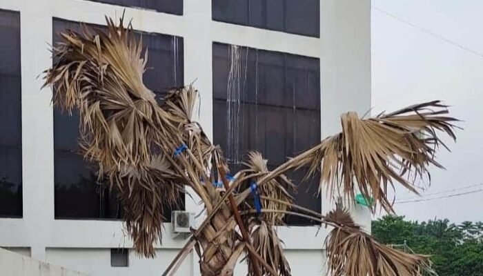 Kontraktor Taman Bohongi Sekwan Dan Komisi A DPRD Labura