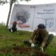 Karyawan INALUM bersama relawan saat penanaman pohon. (29/3/2022). (Foto/Humas).