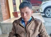 Kerap Terjadi Sampai Kerbaunya Hilang, Rinto Sihotang Jenuh Menunggu Diungkap Polres Samosir