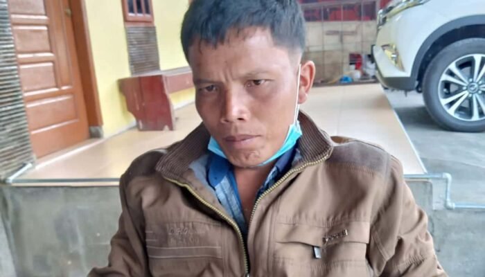 Kerap Terjadi Sampai Kerbaunya Hilang, Rinto Sihotang Jenuh Menunggu Diungkap Polres Samosir