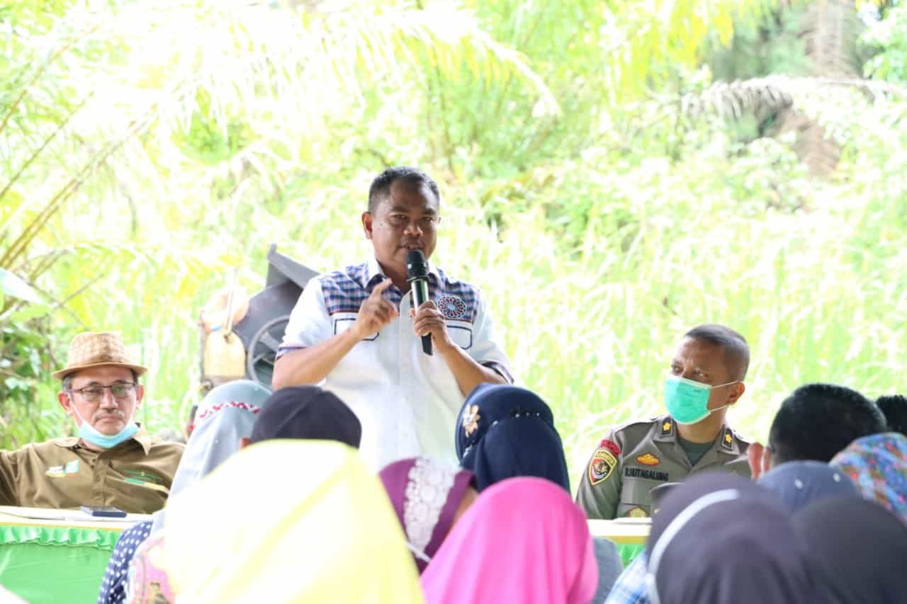 Bupati Sergai saat pidato paparan. (Foto/Humas).