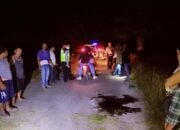 Diduga Lagi Mabuk Tuak Tarik Tiga Naik Sepeda Motor Jatuh, 1 Tewas 2 Luka