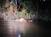 Warga Temukan Mayat Laki – Laki Tanpa Busana Mengambang Disungai