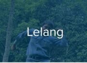 15 Unit Kenderaan Siap Untuk Dilelang PT INALUM Kuala Tanjung