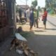 korban berinisial HS perempuan umur 55 tahun. Minggu (29/05/2022). (Foto/Humas).