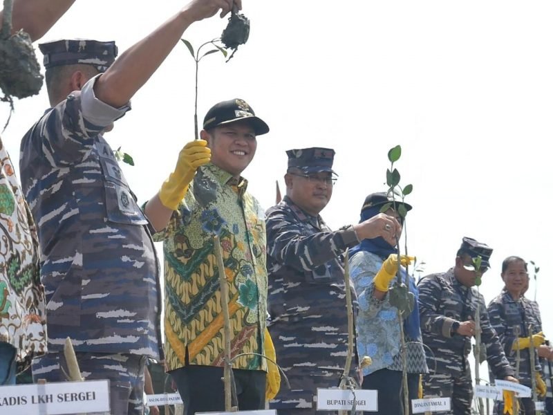 Pemkab Sergai-Lantamal I Belawan Tanam 15 Ribu Mangrove