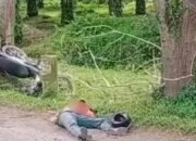 Laka Beruntun 3 Kenderaan Sekaligus Di Jalinsum Batu Bara  Warga Asahan Sekarat