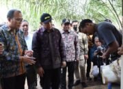 Tinjau Lahan Sawit, Menteri UKM dan Koperasi Kunjungi Sergai