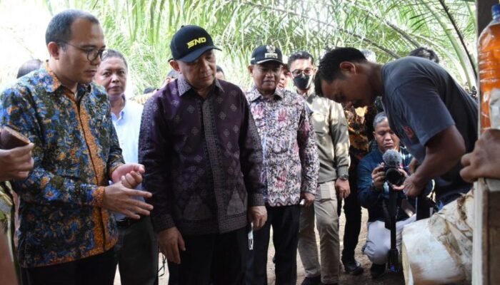 Tinjau Lahan Sawit, Menteri UKM dan Koperasi Kunjungi Sergai