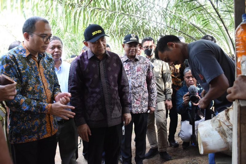 Tinjau Lahan Sawit, Menteri UKM dan Koperasi RI Kunjungi Sergai