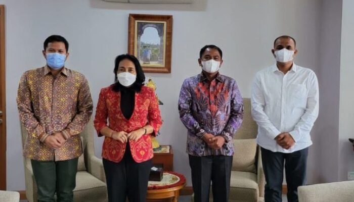 Turunkan Angka Kekerasan Terhadap Perempuan dan Anak, Pemkab Sergai Bentuk 6 DRPPA Sebagai Pilot Project