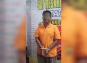 Telap Puluhan Ternak Lembu, Sulas Ditangkap Polisi