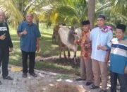 Afandin dan Keluarga Berqurban 7 Ekor Sapi