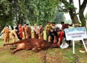 ASN Pemprov Sumut Kurban 144 Ekor Sapi, Afifi Lubis: Saling Berbagi kepada Masyarakat