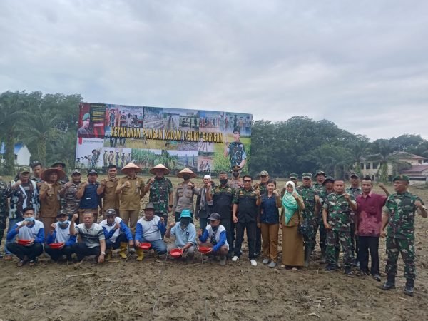 Kodam I BB Tanam Jagung di Langkat, Dukung Ketahanan Pangan Nasional