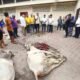 Wagub Sembelih Hewan Kurban di Kantor PWI Sumut