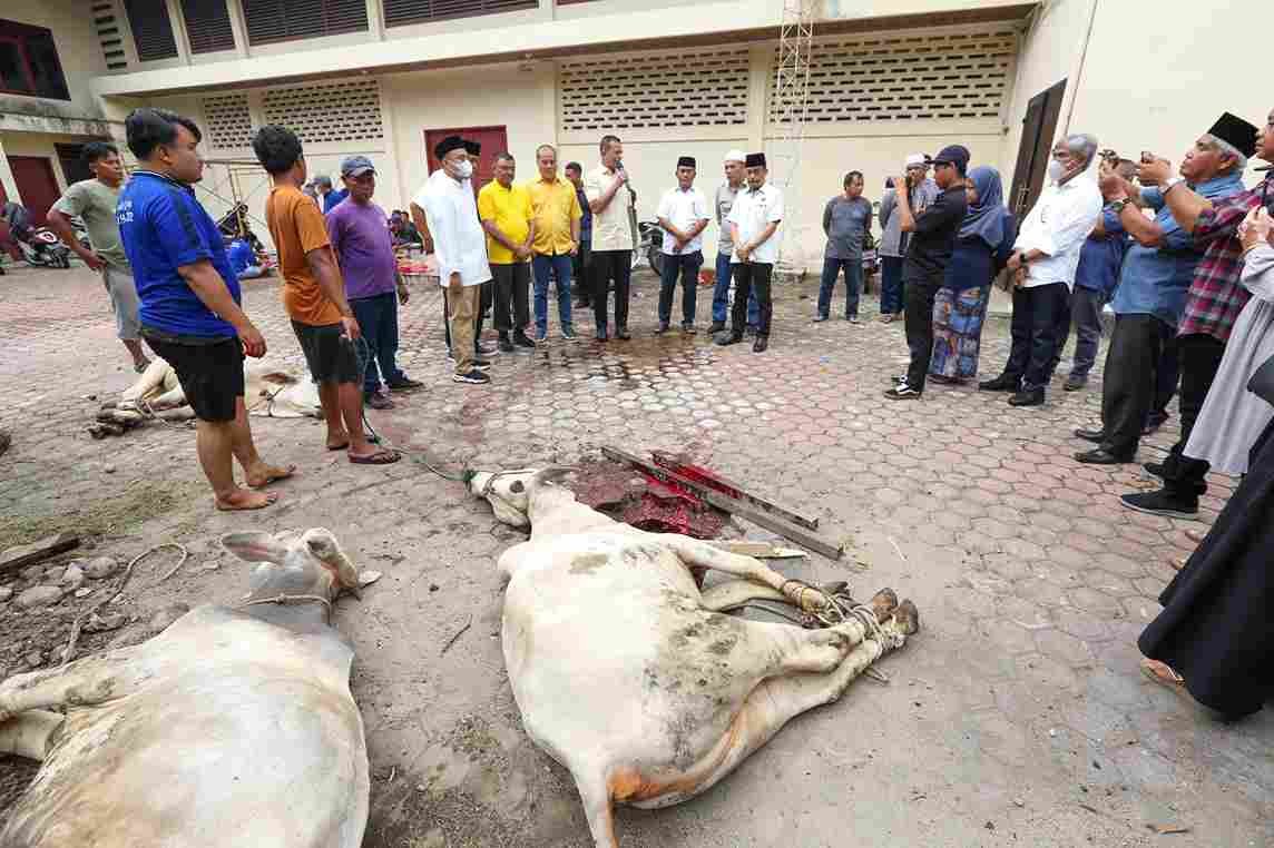 Wagub Sembelih Hewan Kurban di Kantor PWI Sumut