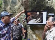 Hadiri Festival Orangutan, Plt Bupati Langkat Gelontorkan Rp 7 Miliar