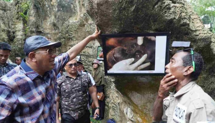 Hadiri Festival Orangutan, Plt Bupati Langkat Gelontorkan Rp 7 Miliar