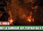 Kebakaran Perbukitan Danau Toba Belum Padam, Api Terpantau di 4 Titik