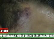 Wartawan Media Online di Labuhanbatu Dianiaya Orang Tak Dikenal