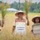 Plt Bupati Langkat Mafia Pupuk akan Kita Brantas