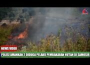 Lansia dan Dibawah Umur, Pembakar Hutan di Perbukitan Danau Toba Tidak Ditahan