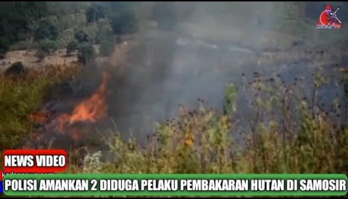 Lansia dan Dibawah Umur, Pembakar Hutan di Perbukitan Danau Toba Tidak Ditahan