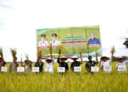 Bupati Sergai Terima Kunjungan Wamen Pertanian: Targetkan Jadi Lumbung Padi Nomor Satu Provinsi