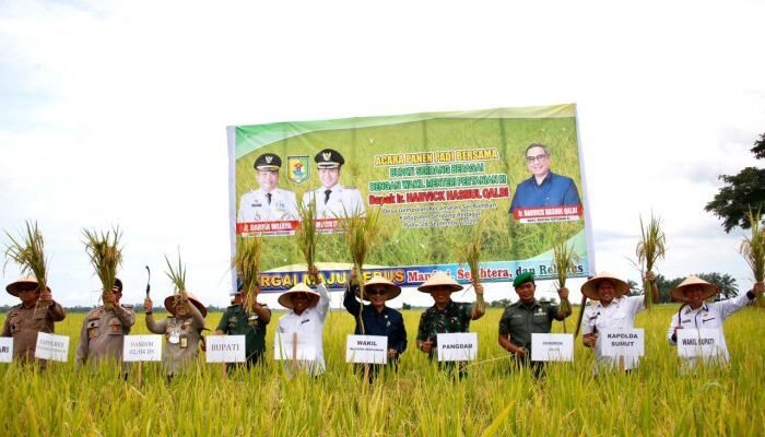Bupati Sergai Terima Kunjungan Wamen Pertanian: Targetkan Jadi Lumbung Padi Nomor Satu Provinsi