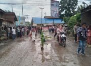 Masyarakat Panai Hulu Tanam 1000 Pohon di Sepanjang Jalan Provinsi yang Rusak