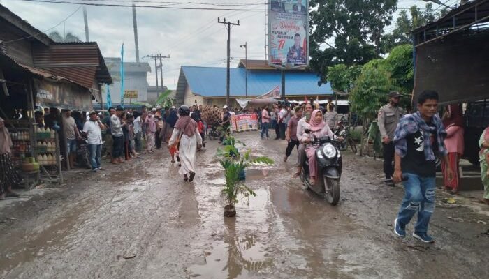 Masyarakat Panai Hulu Tanam 1000 Pohon di Sepanjang Jalan Provinsi yang Rusak