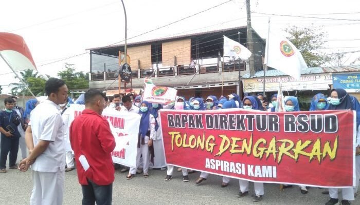 Ratusan TKS RSUD Rantauprapat Geruduk DPRD Labuhanbatu 
